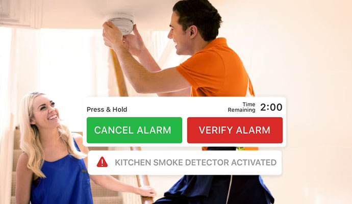 Checking smoke detector as an alarm notification popped up